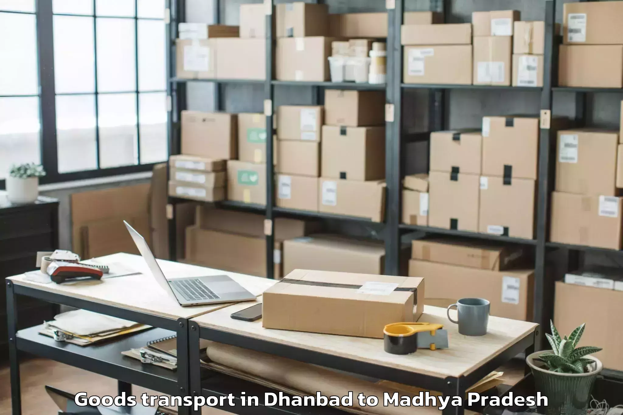 Hassle-Free Dhanbad to Sardarpur Goods Transport